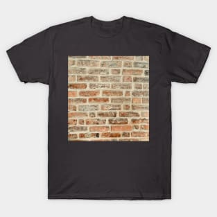 Red bricks hipster design. T-Shirt